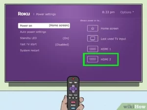 does roku have a web browser