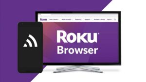 does roku have a web browser