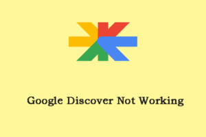 google discover not working