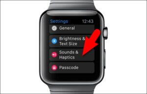 how to put apple watch on vibrate