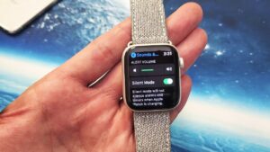 how to put apple watch on vibrate